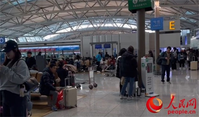11月29日，繁忙的仁川機場。人民網(wǎng) 李帆攝