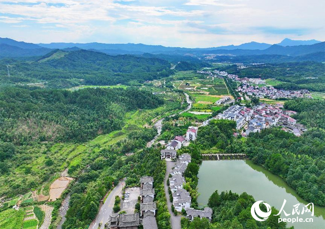 資溪縣森林資源豐富，森林覆蓋率達(dá)87.7%，有林地資源168萬畝。人民網(wǎng) 朱海鵬攝