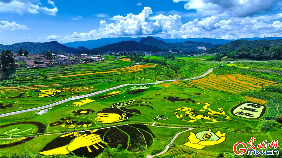 云南清水：延伸公共法律服務(wù)觸角，讓普法與民族團(tuán)結(jié)進(jìn)步互促共融