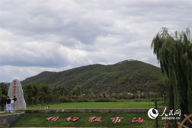 麗江市拉市海景區(qū)。 人民網(wǎng)記者 程浩攝