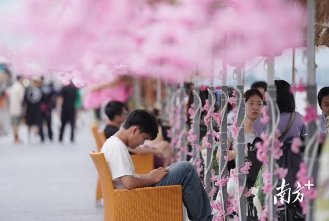 崖口村東堤靠近海岸，成為了熱門打卡休閑地點(diǎn)。