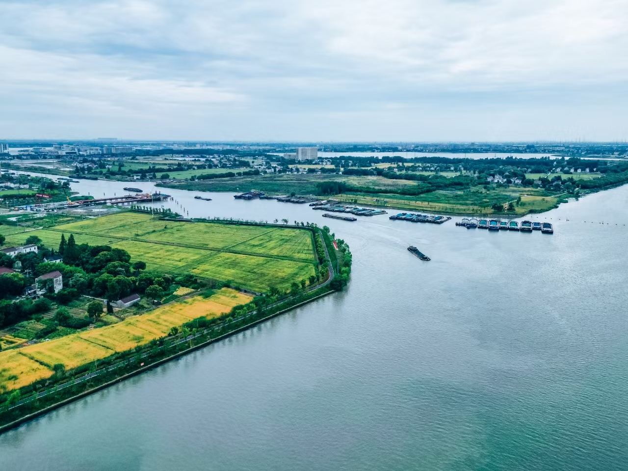 太浦河沿岸好風(fēng)光。吳橫軒攝