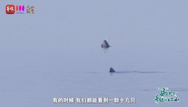 “縣”在起筆 青綠繪江山 | 江灣沐曉：褪去“銹色”走“金線”，繡出生態(tài)與產(chǎn)業(yè)“雙面錦”