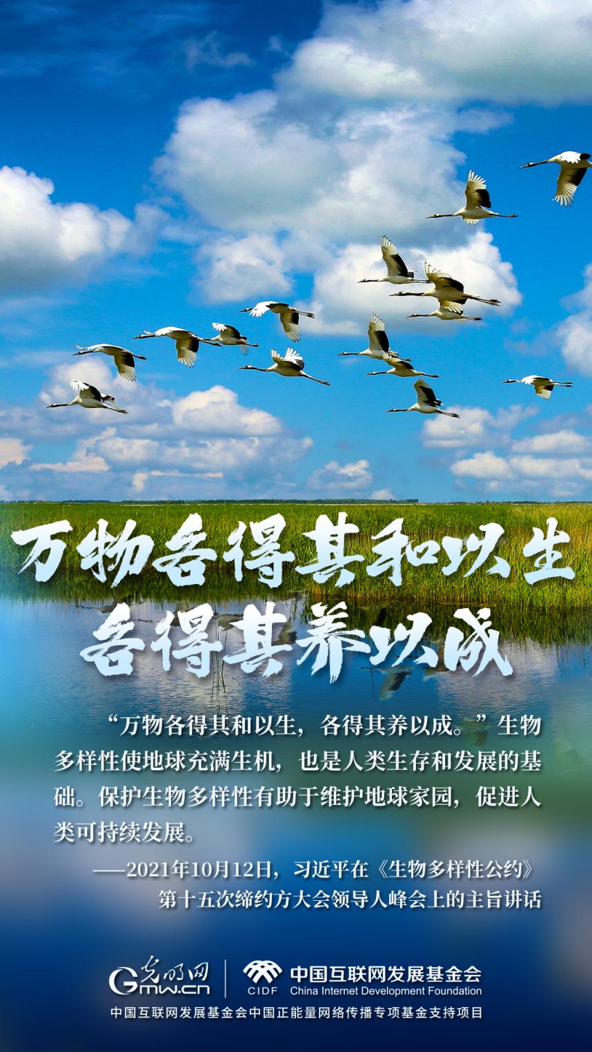 “兩山”理念與美麗中國(guó)丨濕地與候鳥(niǎo)，一場(chǎng)歲歲年年的相守