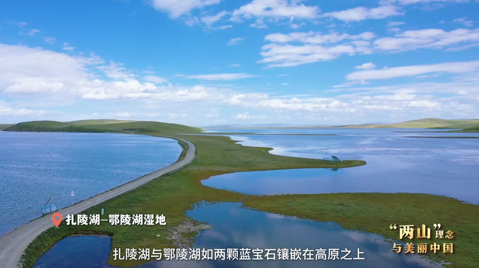 “兩山”理念與美麗中國(guó)丨濕地與候鳥(niǎo)，一場(chǎng)歲歲年年的相守