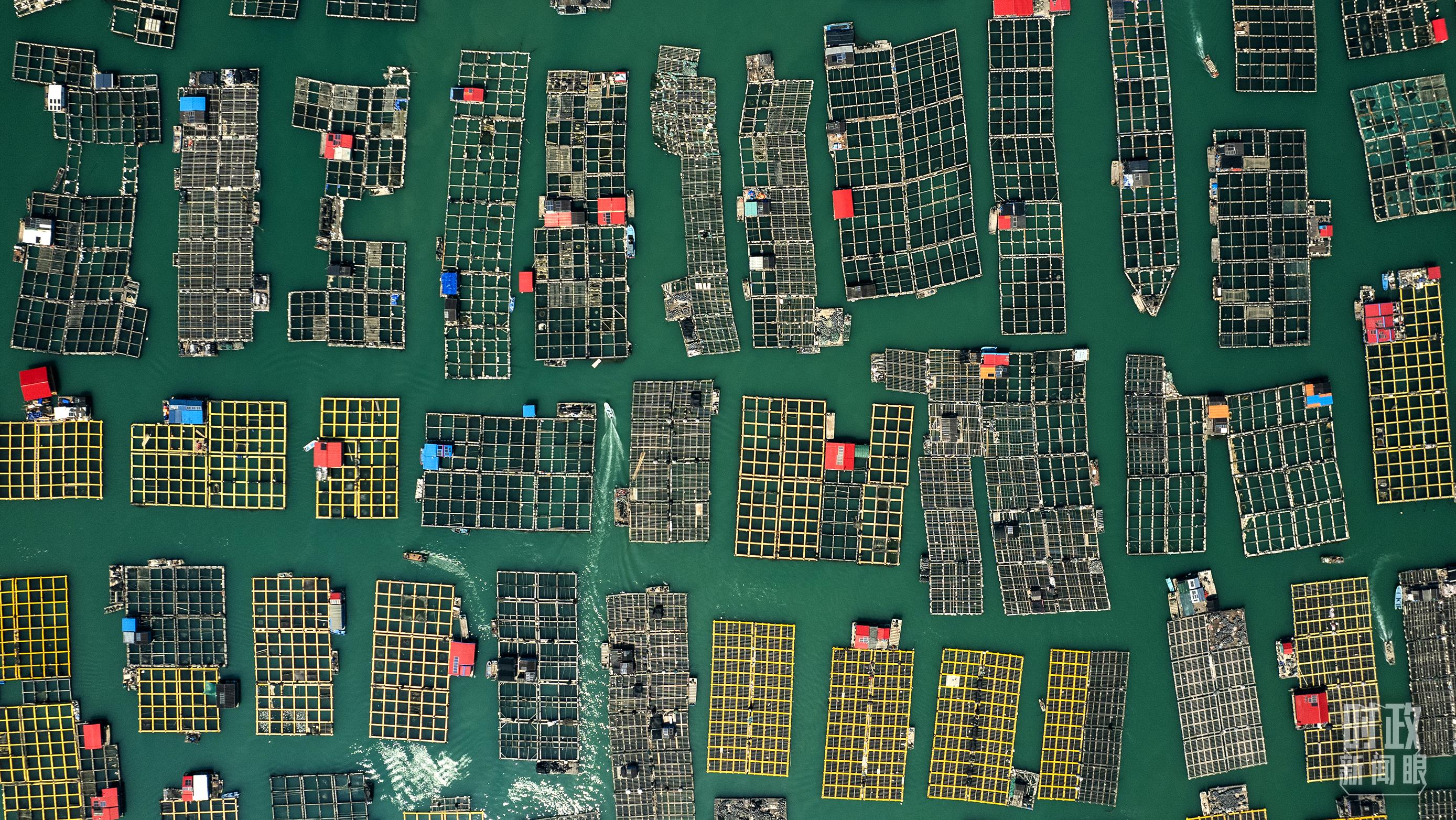 △澳角村。（總臺記者李晉拍攝）