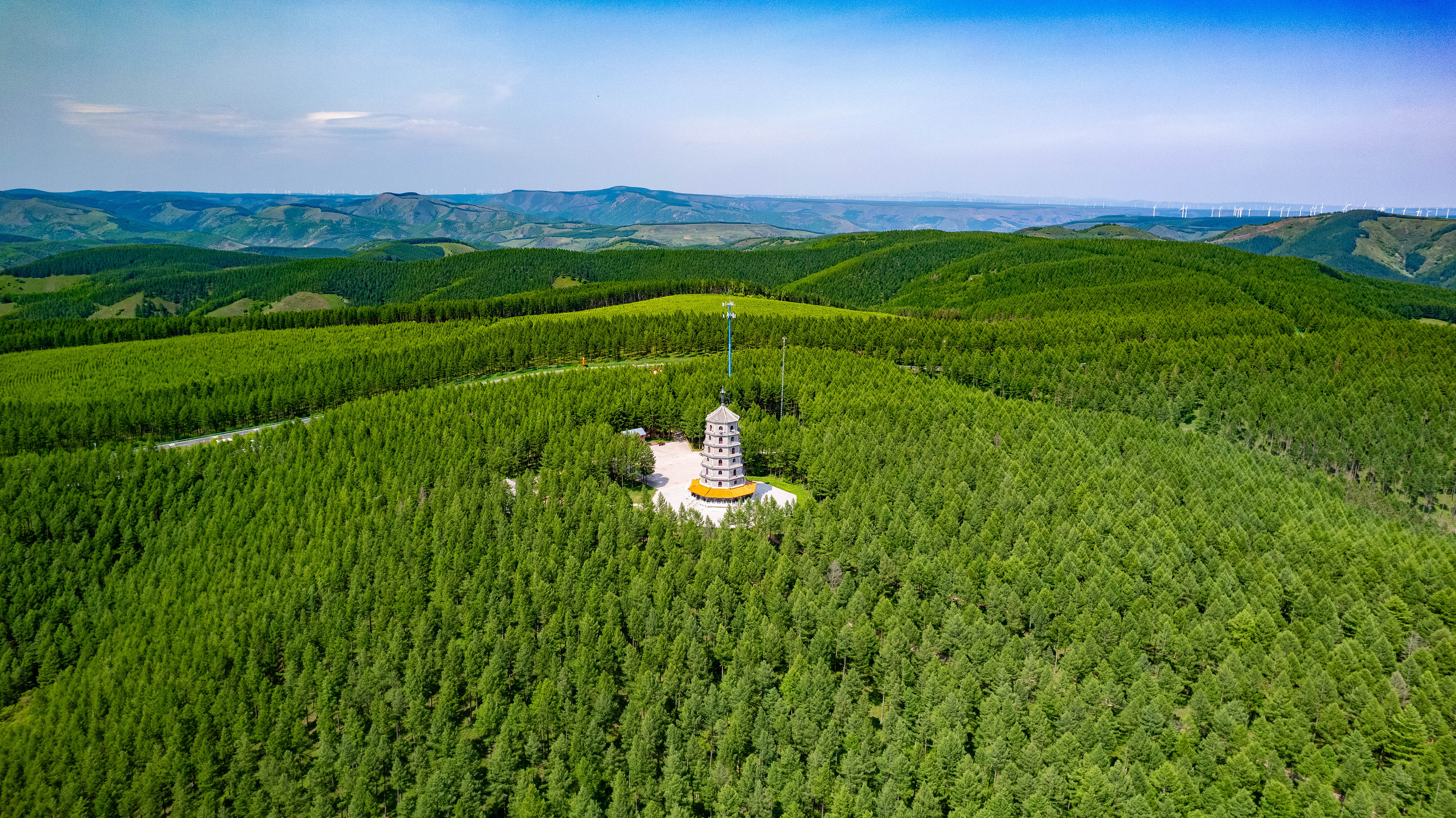 2025年6月11日，河北承德，塞罕壩林海浩渺。