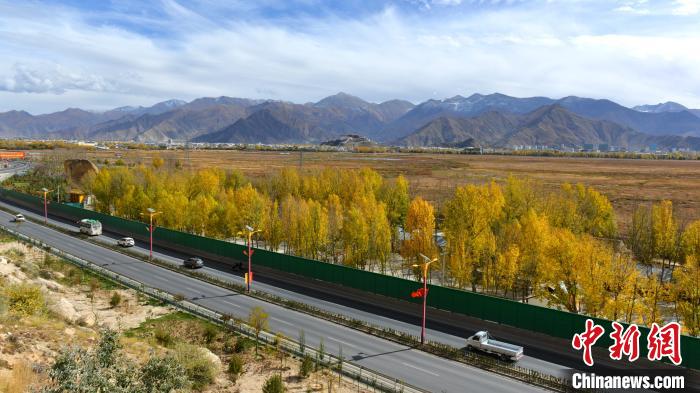 從拉薩北面看拉魯濕地和布達(dá)拉宮?！〗w波 攝