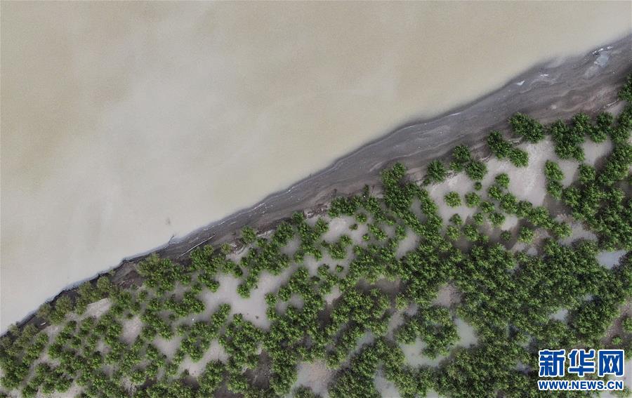 （環(huán)境）（4）雅江沿岸綠意濃