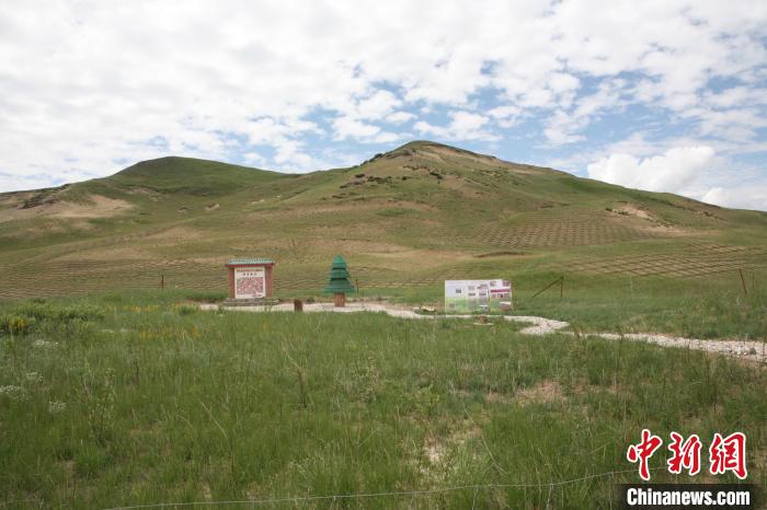 四川省阿壩州若爾蓋縣草原沙化治理后。若爾蓋縣林業(yè)和草原局供圖