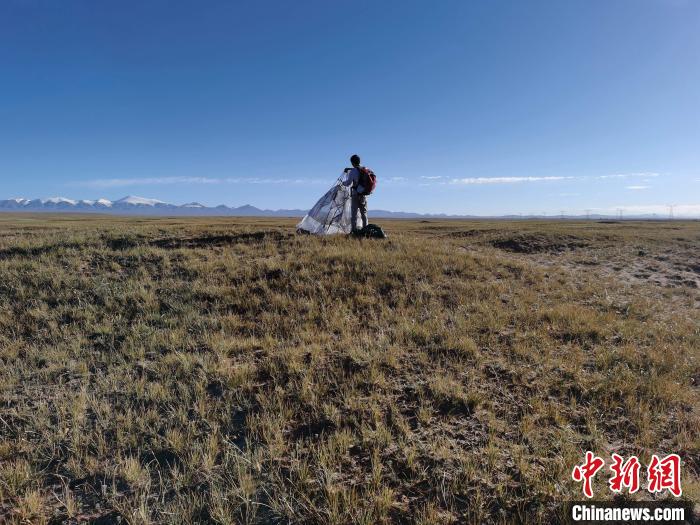 圖為索南達(dá)杰保護(hù)站保護(hù)隊員在可可西里找到露營的葉某?！∴嚭Ｆ?攝