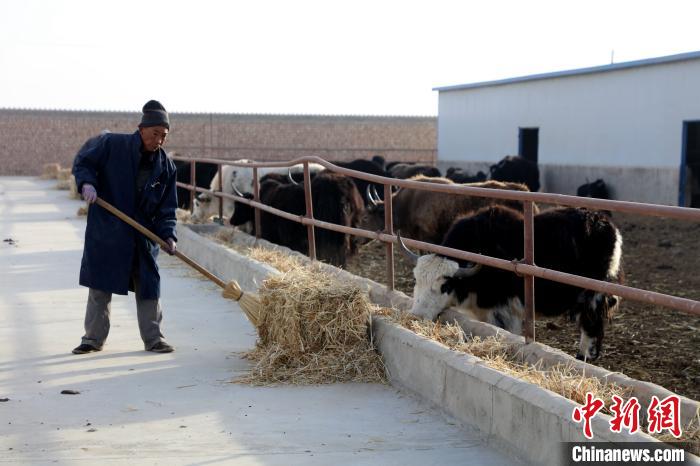 柴達(dá)木盆地蓮湖村：讓致富村民生活“?！逼饋?lái)
