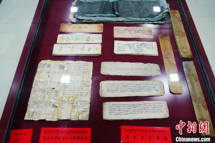 圖為藏醫(yī)古集文獻和藏醫(yī)臨床原始手稿?！●R銘言 攝