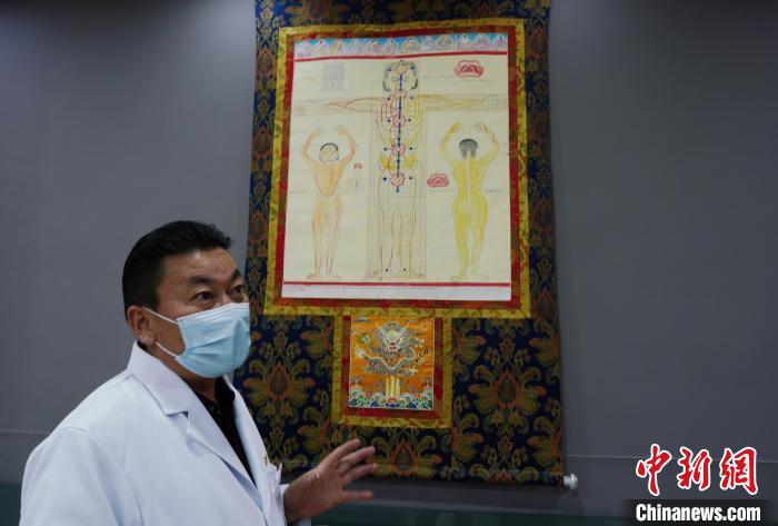 圖為興?？h藏醫(yī)院院長介紹藏醫(yī)四部醫(yī)典詳實圖?！●R銘言 攝