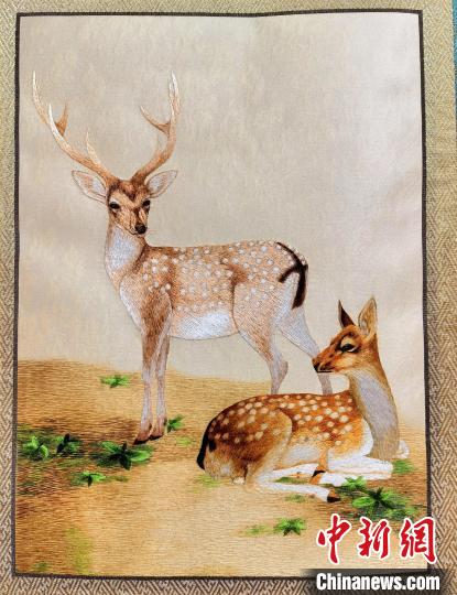 圖為藏繡作品?！∑钤鲚?攝