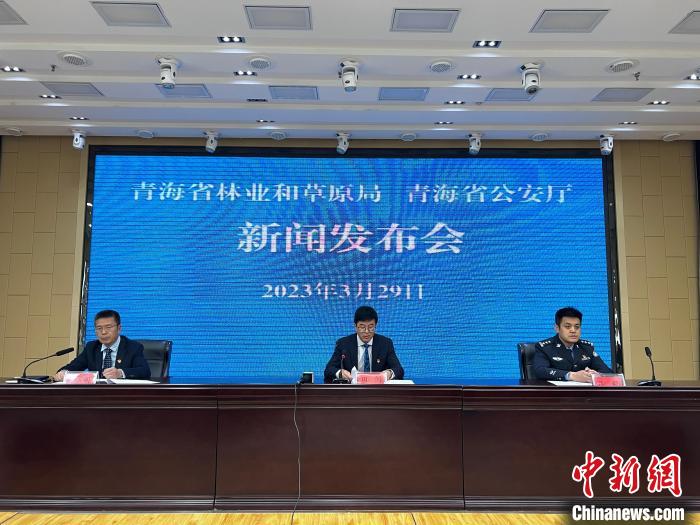 青海去年占用林地、草地準(zhǔn)予許可件同比實(shí)現(xiàn)“雙減”