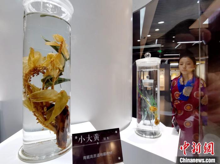 青海中藏醫(yī)藥發(fā)展提速：建設(shè)一批重點(diǎn)?？茖W(xué)科，推廣一批適宜技術(shù)