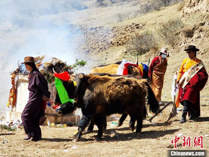 圖為春耕儀式現場?！⊥觖惿?供圖