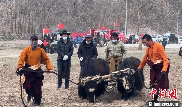 圖為活動現場當地群眾展示傳統(tǒng)春耕方式?！±罱瓕?攝