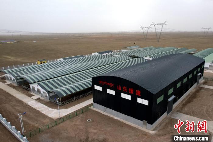 圖為航拍生態(tài)畜牧業(yè)集中規(guī)?；B(yǎng)殖基地?！〔讨绢?攝