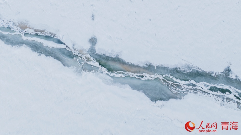 漸漸蘇醒的青海湖。人民網(wǎng) 況玉攝