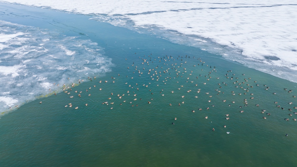青海湖一角。宋忠勇攝