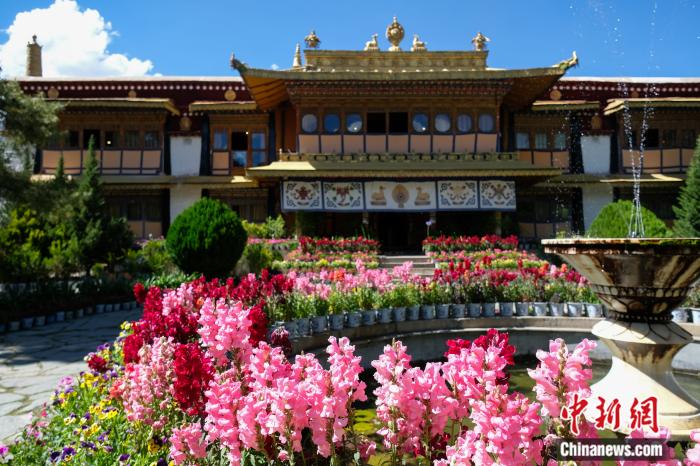 圖為夏日羅布林卡(資料圖)。趙朗攝