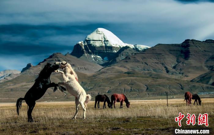 圖為參展攝影師拍攝的西藏阿里岡仁波齊?！≈鬓k方 供圖
