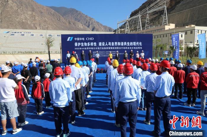 圖為蘇洼龍水電站魚類放流現(xiàn)場?！√K洼龍水電站供圖