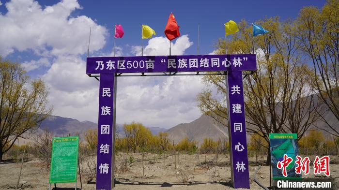 圖為“民族團結(jié)同心林”項目?！∧藮|融媒供圖