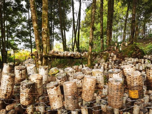 幾代建設(shè)者，歷經(jīng)半個(gè)多世紀(jì)完成！這是一條怎樣的公路？