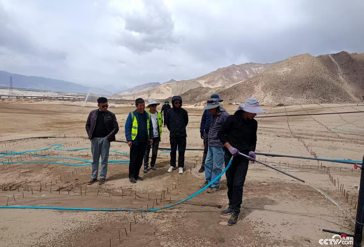 拉薩南北山綠化工程貢嘎段11號片區(qū)開展生態(tài)修復(fù)工程（主辦方供圖）