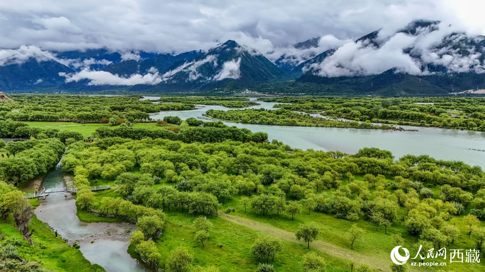 鳥瞰盛夏季節(jié)的雅尼濕地風(fēng)光。人民網(wǎng)記者 次仁羅布攝