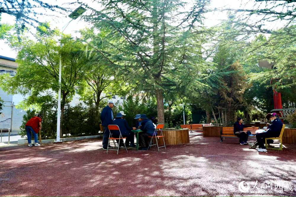 老人們在綠樹成蔭的“社區(qū)會客廳”中對弈休憩。人民網(wǎng)記者 次仁羅布攝