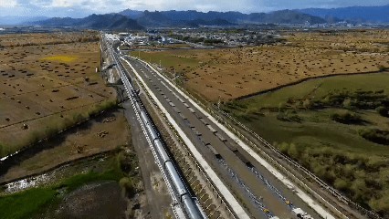 青稞“蛻變”，牦牛“出圈”！看西藏農(nóng)牧民的“十四五”豐收答卷