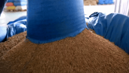 青稞“蛻變”，牦?！俺鋈Α?！看西藏農(nóng)牧民的“十四五”豐收答卷