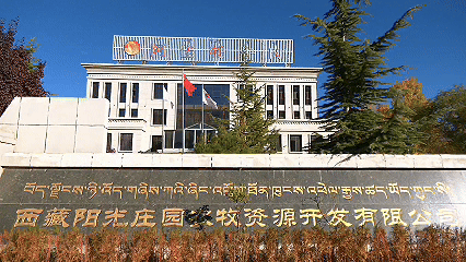 青稞“蛻變”，牦?！俺鋈Α保】次鞑剞r(nóng)牧民的“十四五”豐收答卷