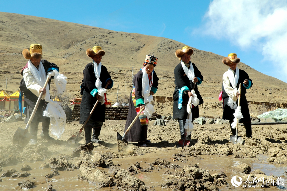 身著傳統(tǒng)服飾的拉東村村民手持鐵鍬疏通水道、引水灌溉，渠水奔涌入田，開啟春耕生產(chǎn)。人民網(wǎng)記者 吳雨仁攝