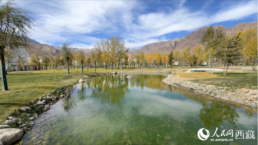 圖為青年林卡公園。人民網(wǎng)記者 次仁羅布攝