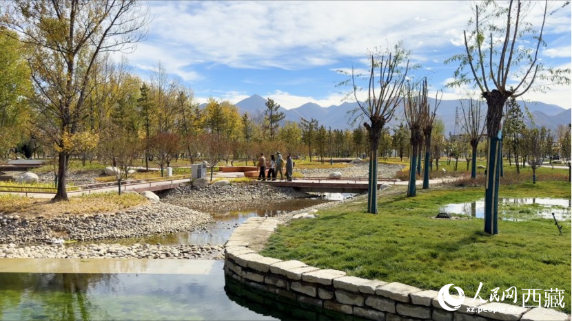 圖為青年林卡公園。人民網(wǎng)記者 次仁羅布攝