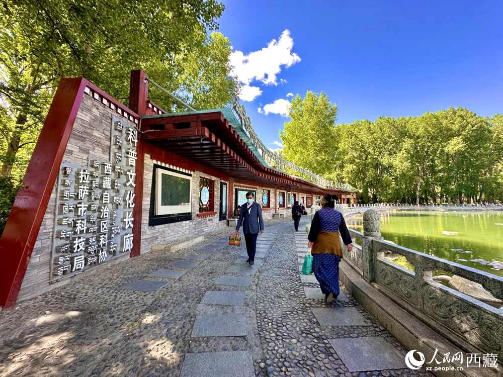 公園內(nèi)的科普文化長(zhǎng)廊。