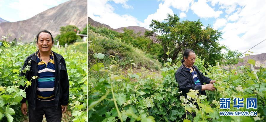 （脫貧攻堅(jiān)·圖片故事）（9）藏東大地脫貧影像