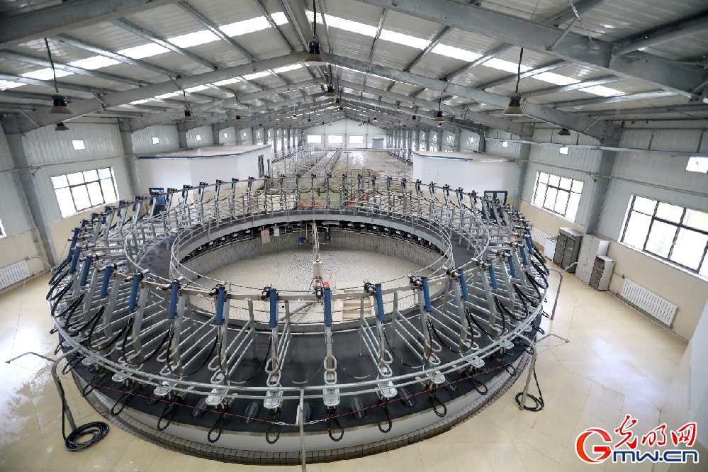 【幸福花開新邊疆】大力發(fā)展西藏隆子縣特色產(chǎn)業(yè) 堅(jiān)決打贏脫貧攻堅(jiān)戰(zhàn)