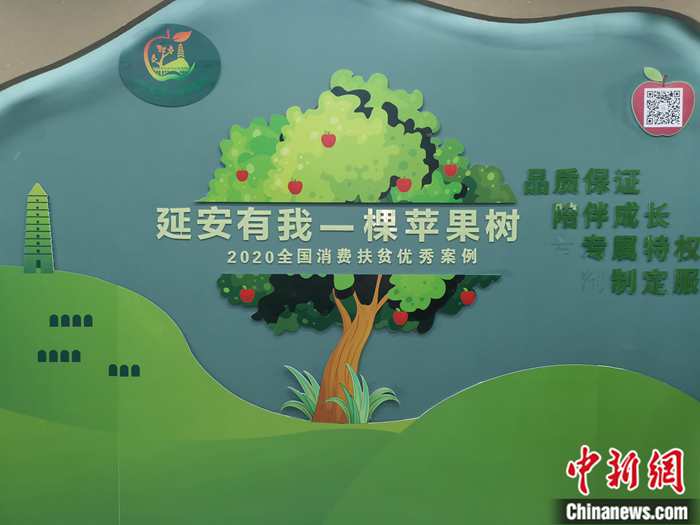 “延安有我一棵蘋果樹(shù)”。<a target='_blank'  ><p  align=