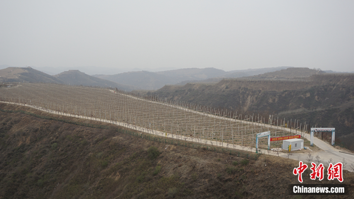 陜西省延安市安塞區(qū)高橋鎮(zhèn)南溝村生態(tài)示范園。 <a target='_blank'  ><p  align=