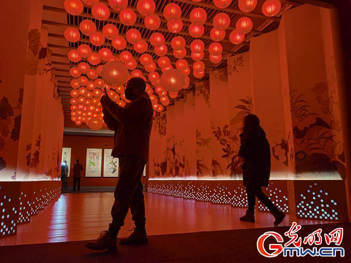 【新春走基層】視頻丨虎年看虎展！來國(guó)博感受虎文化