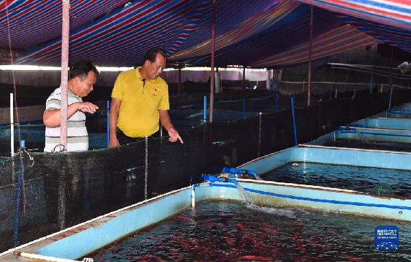 有聲手賬丨【我是一線黨代表 】王書茂：保護好“祖宗?！笔沁@輩子最大的心愿