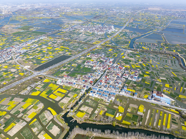 春天里的水鄉(xiāng)興化。周社根攝